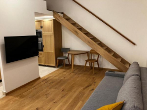 1 bedroom 1 sofabed downtown apartment